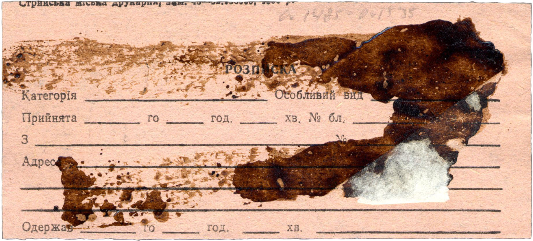 TV Reporting Provisionals Article 2025 07 Fig 15b reverse